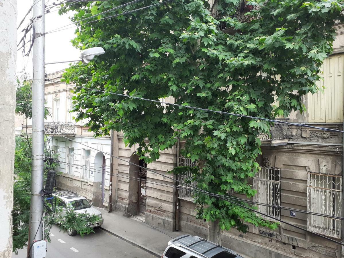Woodmood Hostel تبليسي المظهر الخارجي الصورة
